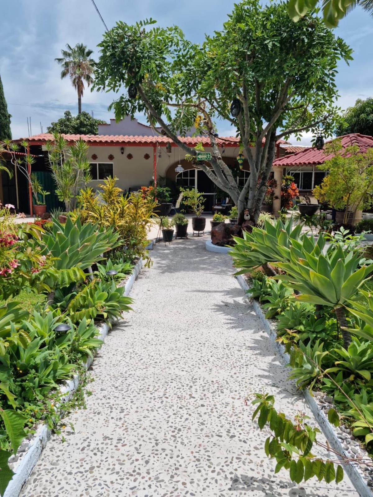Casa De La Abuela Bed and Breakfast Ajijic Exteriör bild