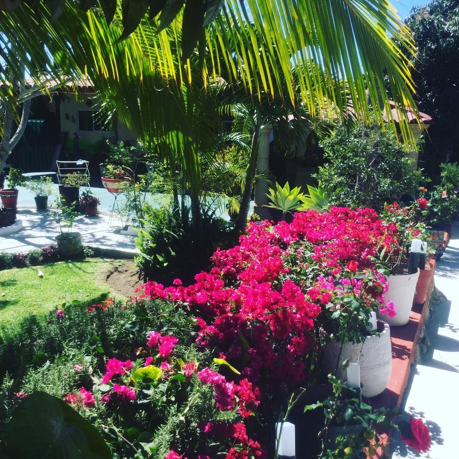 Casa De La Abuela Bed and Breakfast Ajijic Exteriör bild